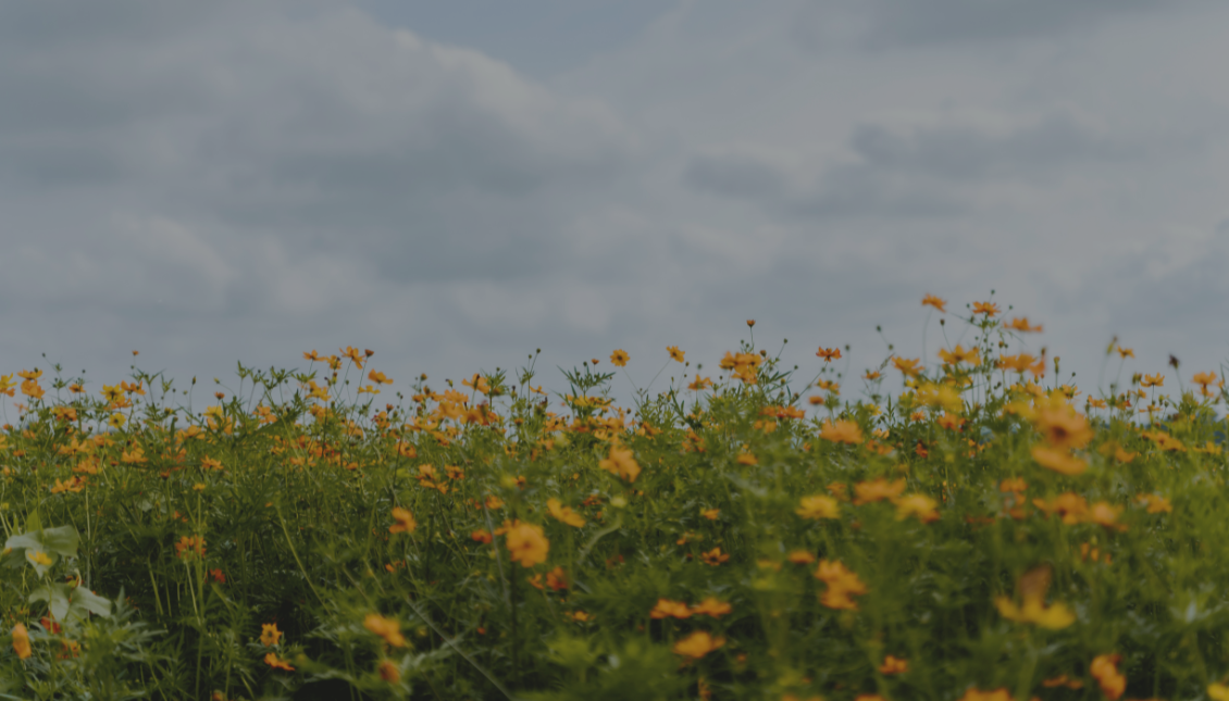 How to Stop Comparing
